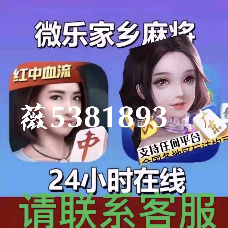 玩家必备攻略“微乐家乡麻将开挂插件多少钱”详细教程辅助工具