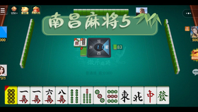 新教你‘‘兴动哈尔滨麻将漏宝开挂”(确实是有挂)-哔哩哔哩