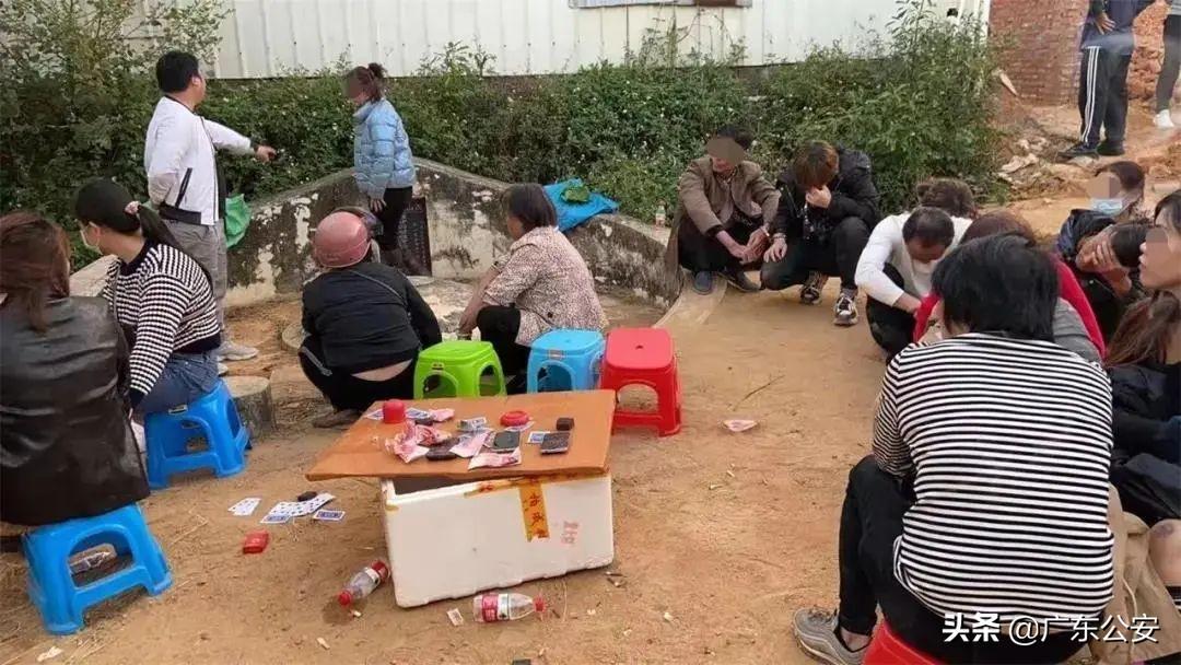 2分钟秒懂！广州免镜头普通三公扑克牌扫描仪,推荐2个购买渠道