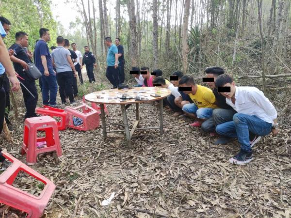 安装教程！普通扑克牌分析器软件名称,推荐5个良心渠道