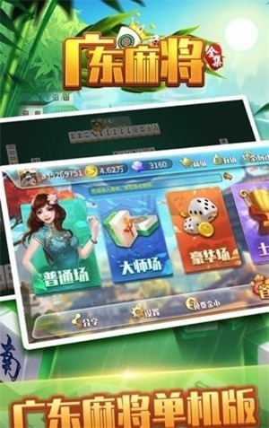 盘点十款！星悦广东麻将确实真的有挂(技巧攻略怎样拿好牌)