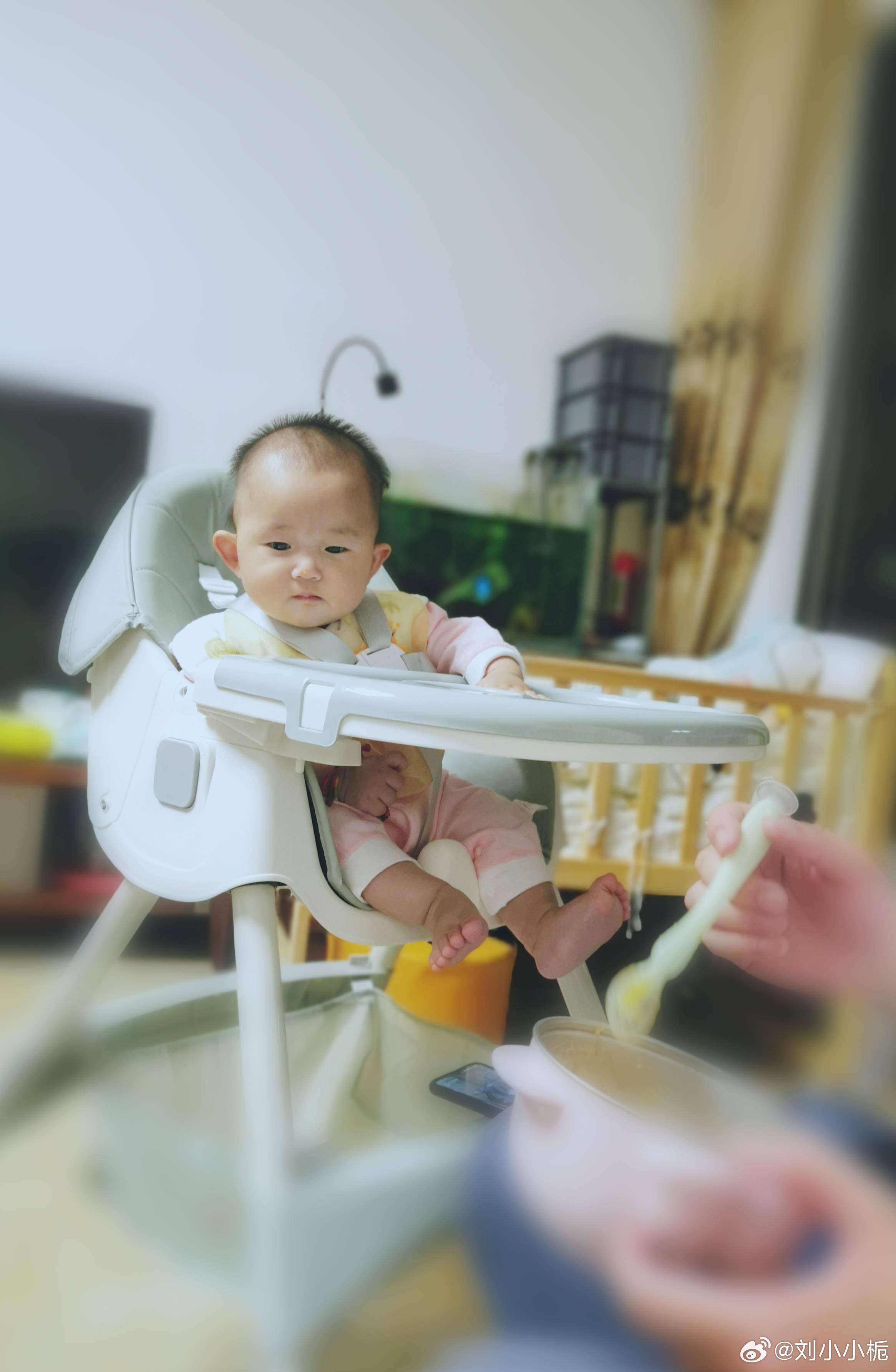 必看实操“宝宝吃吃吃有透视软件吗”原来真的有挂