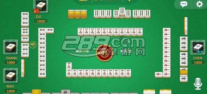 玩家必备攻略！贵阳手机麻将软挂神器(其实是有挂的)