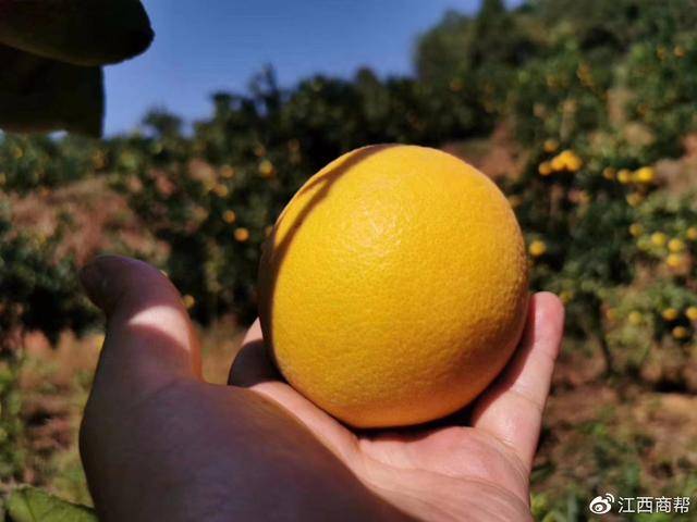 (重磅.揭秘)“好友赣南有没有挂”原来确实有挂-知乎