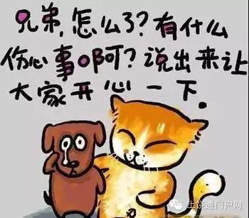 三分钟了解！烟台人人麻将确实真的有挂(是不是有猫腻)