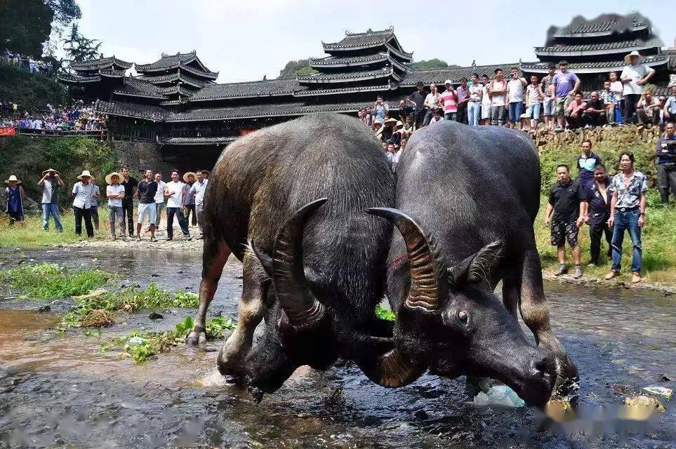 玩家必备教程手机网络百家乐庄闲压分稳赢技巧图解《新浪科技 讲解窍门》