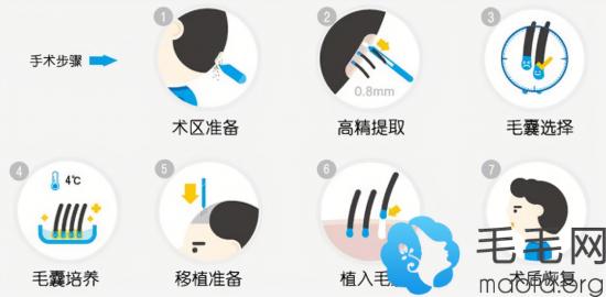 (2分钟介绍)“有什么东西可以提前知道普通色子《新浪科技 讲解窍门》