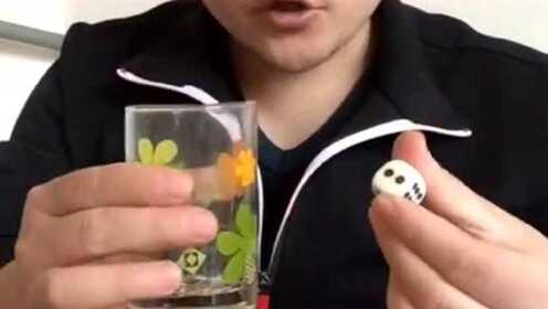 火爆全网!怎样看穿瓷碗里的色子—详细解说+新浪科技