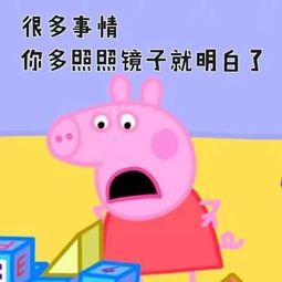 小猪对对碰其实真的确实有挂(确实真有挂)