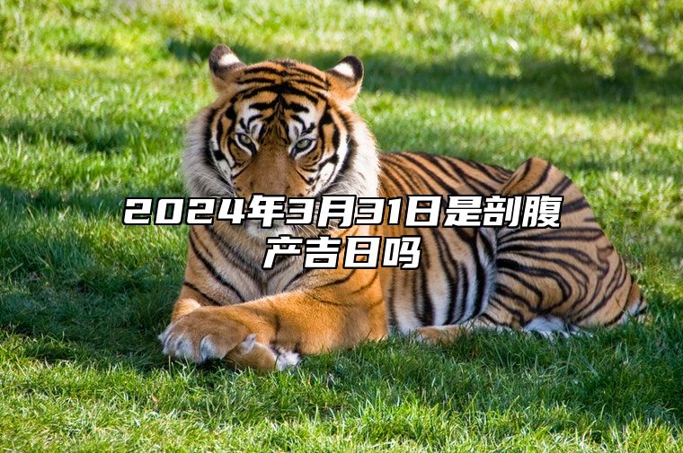 一分钟教你“怎么看穿老虎狮子《新浪科技 讲解窍门》