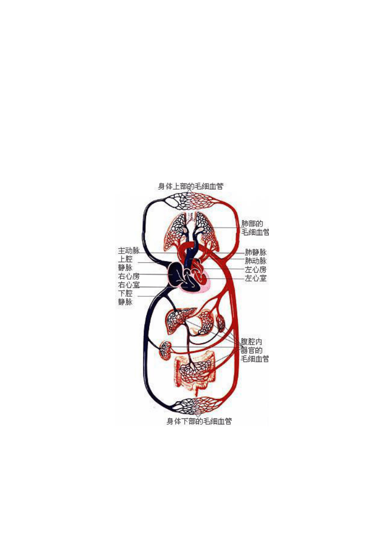教程辅助“下现在有什么高科技打牌设备_《爱问知识人 使用说明》