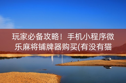 三分钟了解小程序微乐麻将有猫腻吗(揭秘手机上规律攻略)