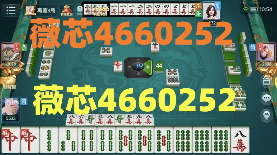 369熟人麻将有挂技巧辅助器(真的确实是有挂)