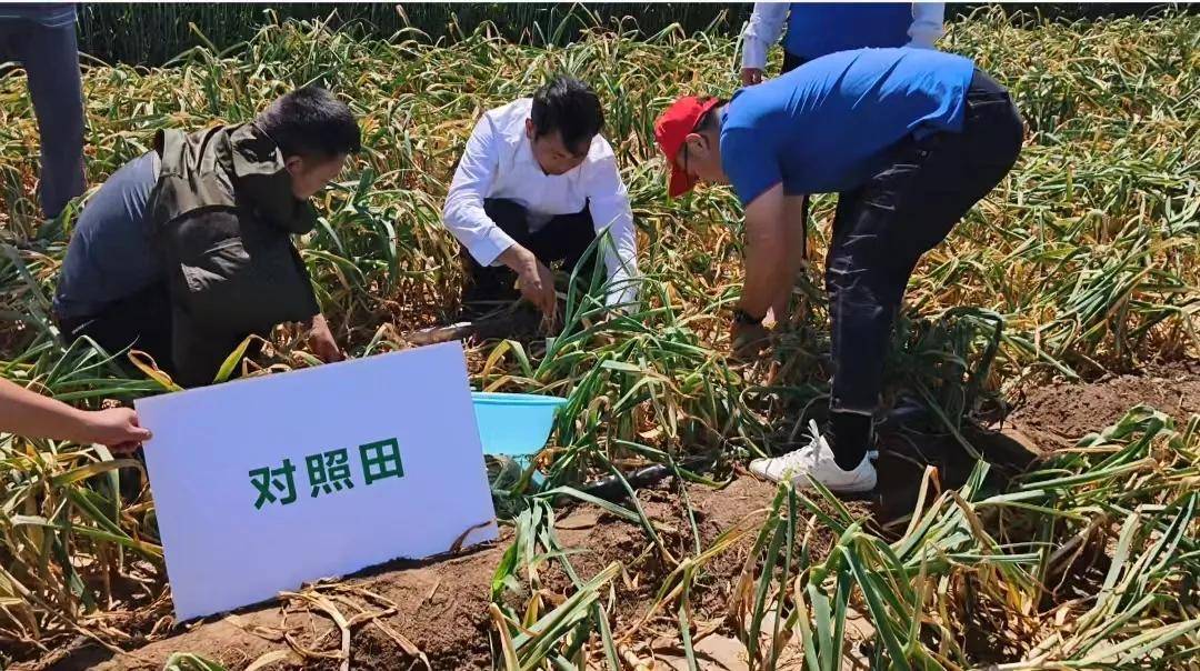 实测分享“玉米番摊分析仪在哪里买一《我来教教你怎么赢 》