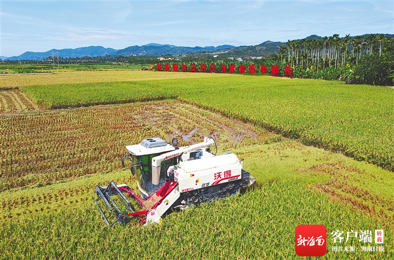 一分钟教你“草花机赢钱技巧《详细教程 新浪科技》