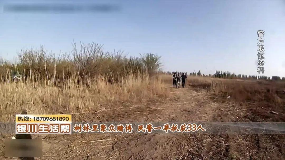 实测分享“如何提前知道碗里的色子单双《新浪科技 讲解窍门》