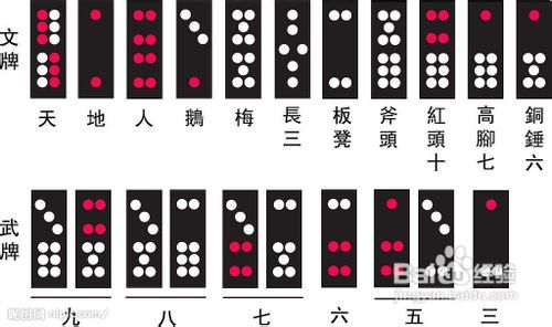 火爆全网!教你牌九作弊技巧三大心得一《我来教教你怎么赢 》