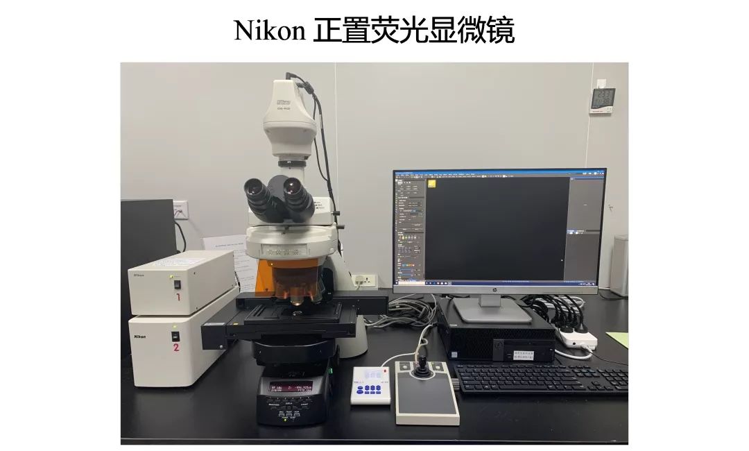(2分钟介绍)“有什么设备可以提前知道普通杯碗里面的色子一《我来教教你怎么赢 》