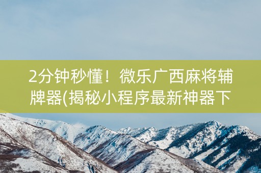 微乐小程序麻将辅牌器(揭秘小程序攻略插件)