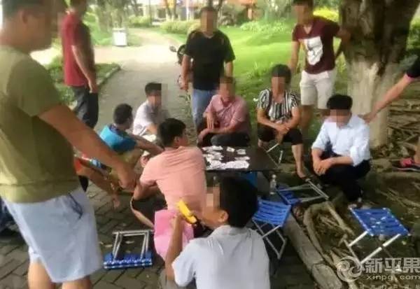 (2分钟介绍)“玩三公撑船知牌先进设备《详细教程 新浪科技》