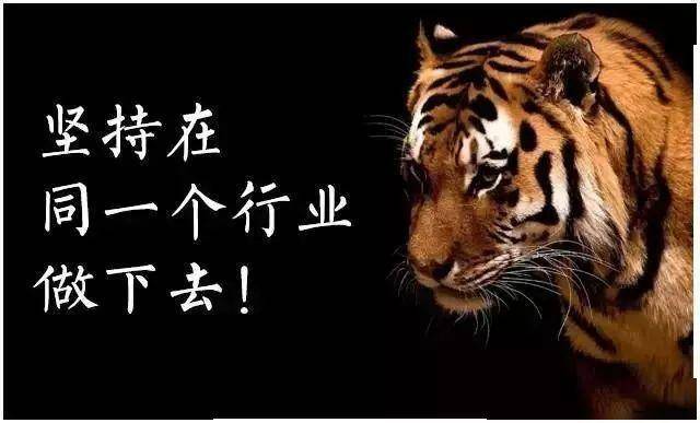 详细说明“看穿老虎狮子《详细教程 新浪科技》