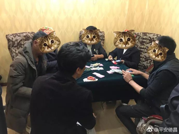 详细说明“炸金花技巧十大禁忌技术—详细解说+新浪科技